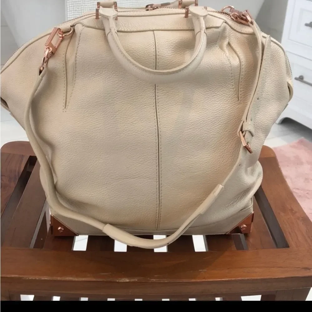 Alexander Wang 2 way hobo style handbag.